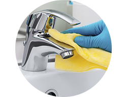 Services – Cleanora